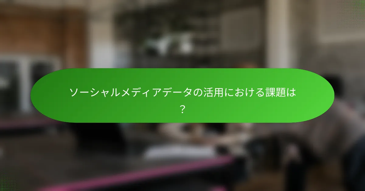 ソーシャルメディアデータの活用における課題は？